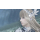 PlayStation Valkyrie Elysium - 1059003 - zdjęcie 2